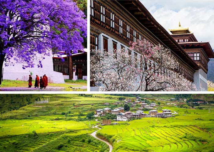 不丹的春天
