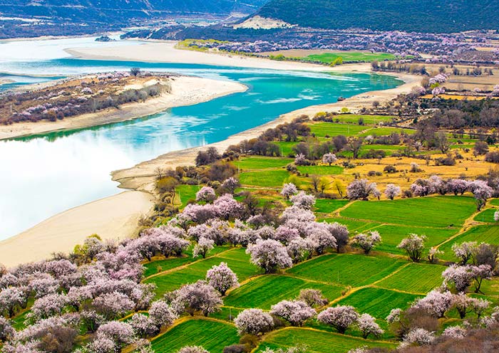 【包车游】拉萨林芝羊湖纳木措日喀则包车6日游